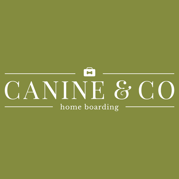 Canine & Co - Home Boarding