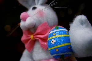 easter bunny